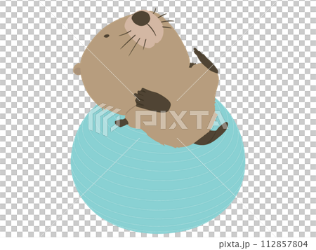 海狸在平衡球上 112857804