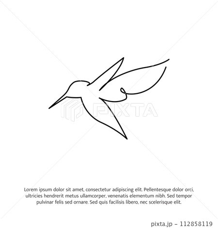 Hummingbird one continuous line drawing. Cute decoration hand drawn elements. Vector illustration of minimalist style on a white background. 112858119