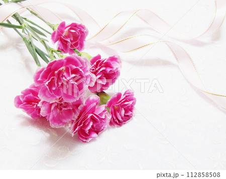 リボン・濃いピンクカーネーションの花束(コピースペース・人物なし・シンプル) 112858508