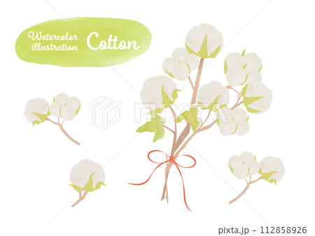 綿花・コットンのイラストセット 112858926