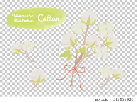 綿花・コットンのイラストセット 112858926