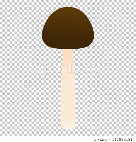Brown Mushroom Cartoon illustration Brown Mushroom Drawing Mushroom Cartoon 112859151