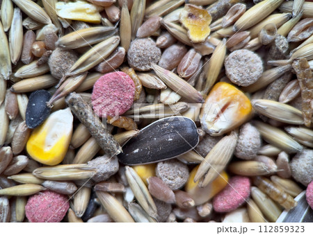 Texture of a colorful grains and seeds, close-up food for rodents 112859323