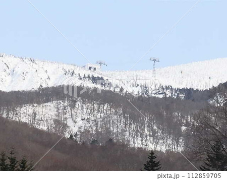 蔵王  蔵王温泉スキー場　地蔵山頂　樹氷原　樹氷　霧氷 112859705