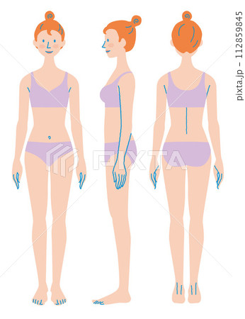 女性のからだ 正面 横向き 後姿 下着 イラスト 女性のからだ 正面 横向き 後姿 下着 イラスト 112859845