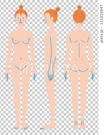 女性のからだ 正面 横向き 後姿 下着 イラスト 女性のからだ 正面 横向き 後姿 下着 イラスト 112859847