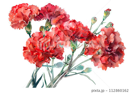 カーネーションの花（水彩画）-2のイラスト素材 [112860162] - PIXTA