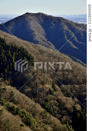 朝日の相州アルプス　華厳山を望む　丹沢の物見峠より 112860409