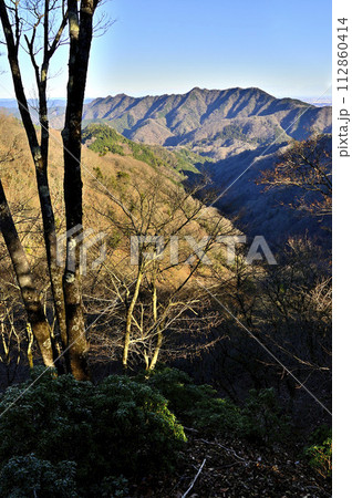 丹沢の能ノ爪　鍋嵐東尾根より望む相州アルプス 112860414