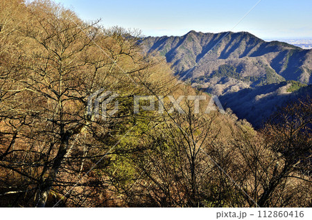 丹沢の能ノ爪 鍋嵐東尾根より望む相州アルプス 丹沢の能ノ爪 鍋嵐東尾根より望む相州アルプス 112860416