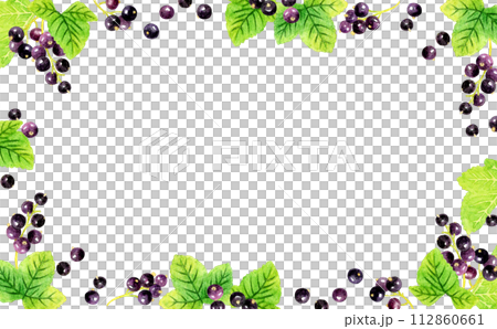 黑醋栗背景，水果手繪水彩插畫素材 112860661