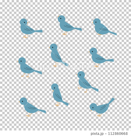 鳥的插圖集 112860668