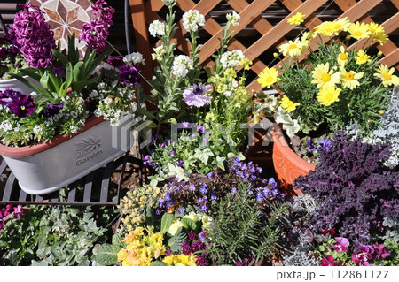 春の花の寄せ植え&寄せ鉢 春の花の寄せ植え&寄せ鉢 112861127