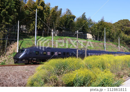 菜の花とJR九州の787系「かささぎ」「リレーかもめ」2 菜の花とJR九州の787系「かささぎ」「リレーかもめ」2 112861811