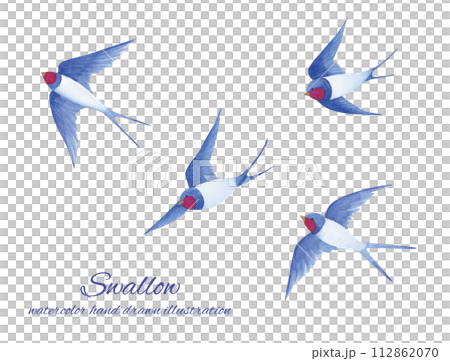 燕子水彩手繪向量圖 112862070