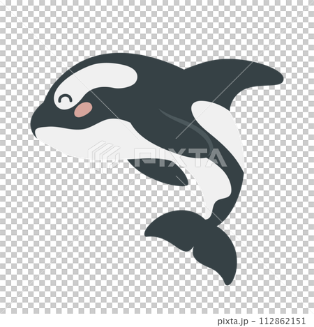 Cartoon hand drawn killer whale on isolated white background. Character of the polar arctic sea animals for the logo, mascot, design. Vector illustration Cartoon hand drawn killer whale on isolated white background. Character of the polar arctic sea animals for the logo, mascot, design. Vector illustration 112862151