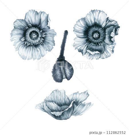 Watercolor monochrome gray-blue poppy flowers, stems, buds, leaves, vases for a bouquet, butterflies, berries, ribbons, bows for frames, borders, labels, patterns, cards, posters, stickers, scrapbook 112862552