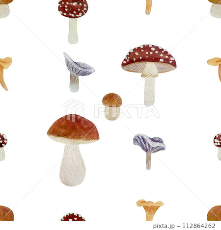 Wild mushroom watercolor pattern isolated on white. Porcini, Chanterelle, Fly agaric and Collybia nuda Wild mushroom watercolor pattern isolated on white. Porcini, Chanterelle, Fly agaric and Collybia nuda 112864262