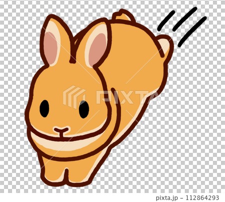 jumping orange rabbit 112864293