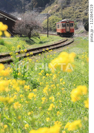いすみ鉄道「3月中旬の菜の花咲く沿線風景」 いすみ鉄道「3月中旬の菜の花咲く沿線風景」 112864319