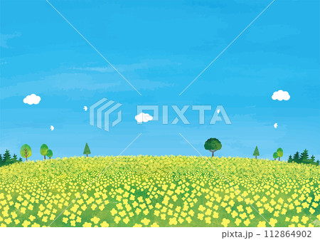 菜の花畑と木と青空の風景水彩 112864902
