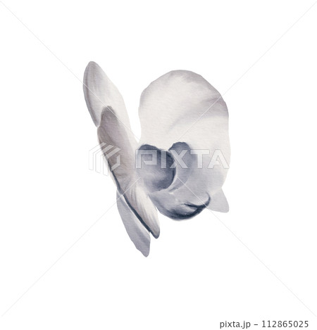 Watercolor illustration of a white orchid flower in cool shades close-up on a white background. Tropical plants for greeting card, frame border flowers, wedding stationery, background, postcard. Watercolor illustration of a white orchid flower in cool shades close-up on a white background. Tropical plants for greeting card, frame border flowers, wedding stationery, background, postcard. 112865025
