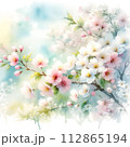 水彩画の桜の花のイラスト 112865194
