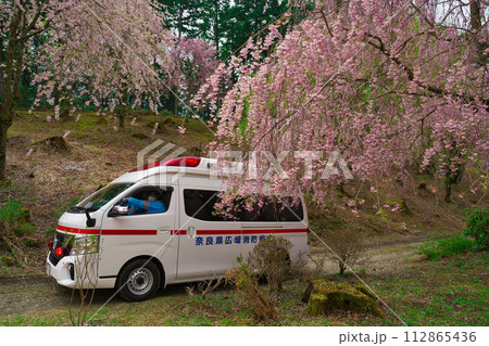 【奈良県】4月・救急車と満開の枝垂れ桜 【奈良県】4月・救急車と満開の枝垂れ桜 112865436
