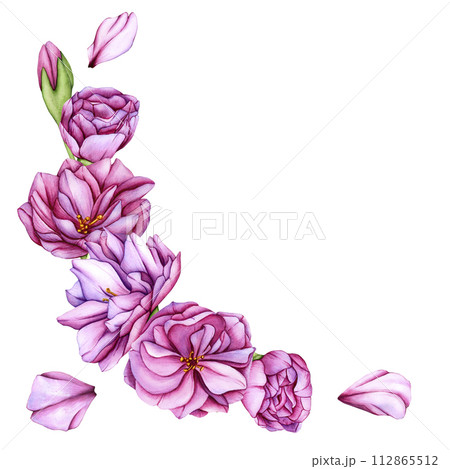 Pink cherry blossoms bouquet. Watercolor illustration sakura flower petals. Japanese sakura flowers botanical illustration. Hand drawn flower buds and petals of cherry blossoms. Isolated 112865512