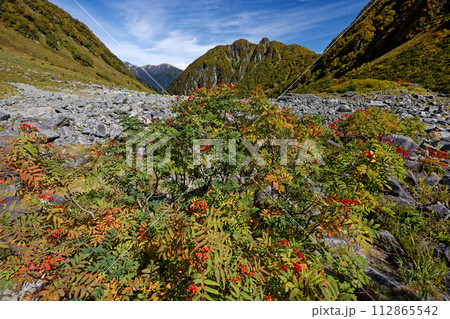 北アルプス・涸沢の紅葉と屛風ノ頭・大天井岳稜線 北アルプス・涸沢の紅葉と屛風ノ頭・大天井岳稜線 112865542