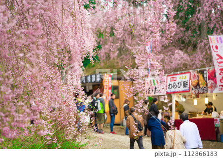 【奈良県】4月・満開の枝垂れ桜を見に高見の郷を訪れた観光客 112866183