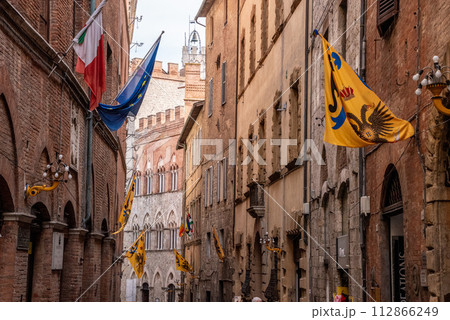 Contrade flags of the Aquila-Eagle district hanging in a street of downtown Siena Contrade flags of the Aquila-Eagle district hanging in a street of downtown Siena 112866249