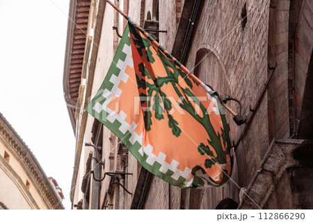 Contrade flag of the Selva-Rhino city district hanging in a street in downtown Siena Contrade flag of the Selva-Rhino city district hanging in a street in downtown Siena 112866290