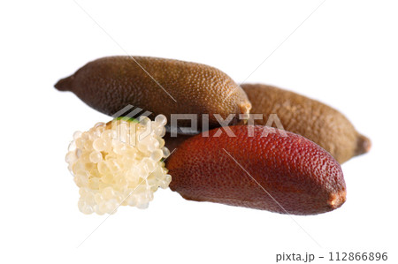 Fresh finger limes isolated on white background. Caviar lime. Fruits pods. Clipping path. Fresh finger limes isolated on white background. Caviar lime. Fruits pods. Clipping path. 112866896