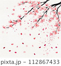 桜　水彩イラスト 112867433