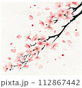 桜　水彩イラスト 112867442