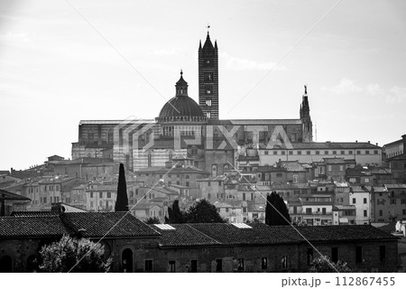 Panoramic view of the historic city of Siena Panoramic view of the historic city of Siena 112867455