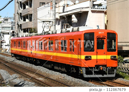 亀戸へ向けて直線区間をゆく東武亀戸線の8000系 112867679