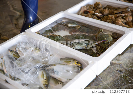 魚市場の競りをする風景 魚市場の競りをする風景 112867718