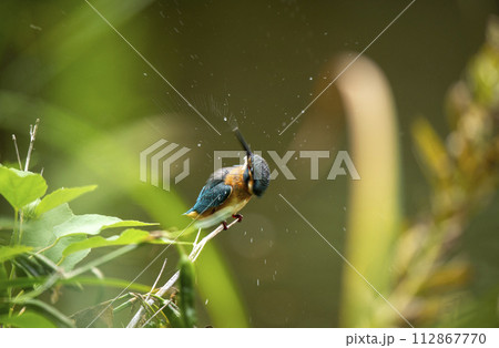 この飛沫、何だか分かるかな? この飛沫、何だか分かるかな? 112867770