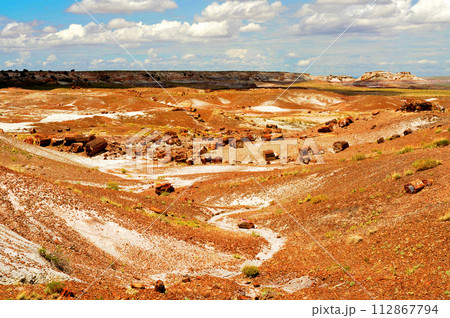 Alien Landscape Petrified Forest National Park Arizona 112867794