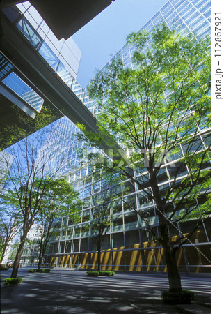 新緑のオフィス街の風景・東京国際フォーラム3 新緑のオフィス街の風景・東京国際フォーラム3 112867921