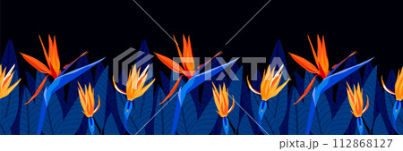 Tropic floral seamless border pattern with modern yellow, orange color strelitzia, and blue leaves background, hand drawing illustration 112868127