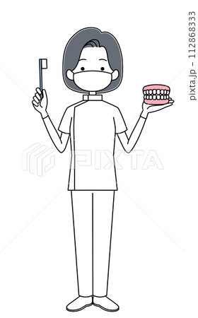 歯ブラシと歯列模型を持った歯医者のイラスト（女性） 112868333