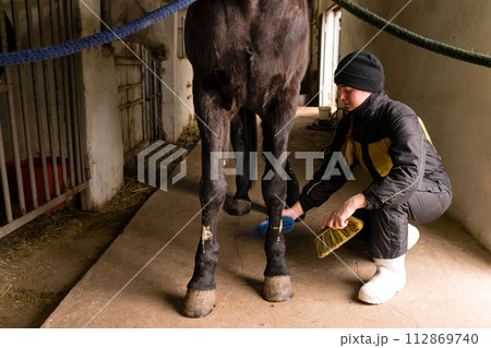 Person brushing horse's legs in stable 112869740