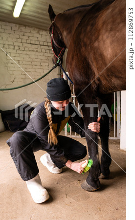 Person brushing horse's legs in stable Person brushing horse's legs in stable 112869753
