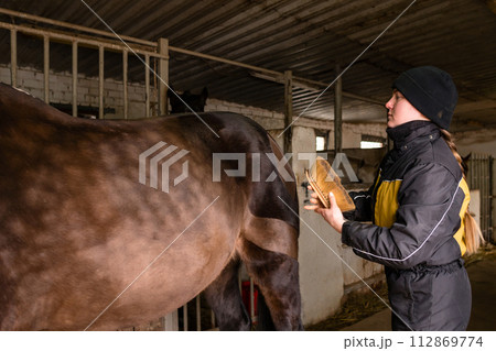 Grooming horse with heart-shaped mark in stable Grooming horse with heart-shaped mark in stable 112869774