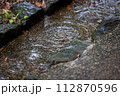 小川に流れる水 112870596
