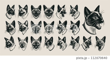 Collection of cute meowing siamese cat head in side view design 112870640
