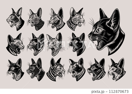 Funny meowing korat cat head in side view silhouette design set 112870673